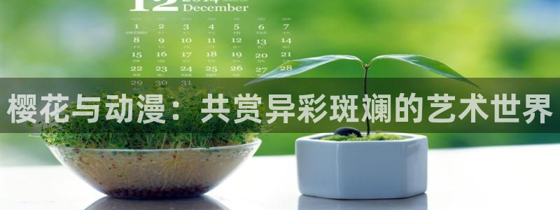 番剧推荐动漫天堂.
