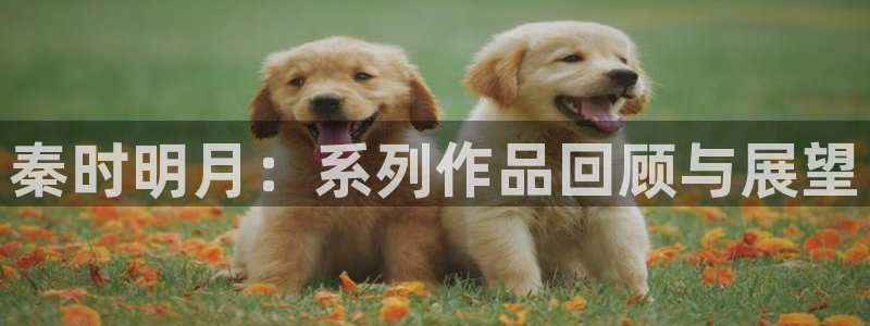 动漫天堂官网