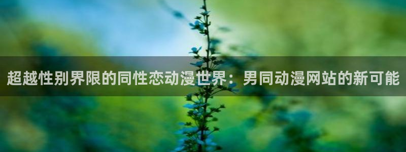 动漫天堂官方正版下载