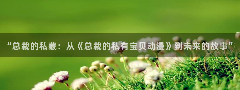 禁动漫天堂：“总裁的私藏：从《总裁的私有宝贝动漫》到未来的故事”