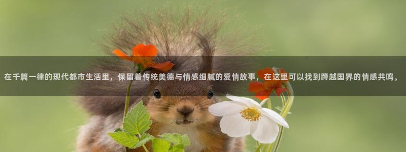 内地动漫天堂