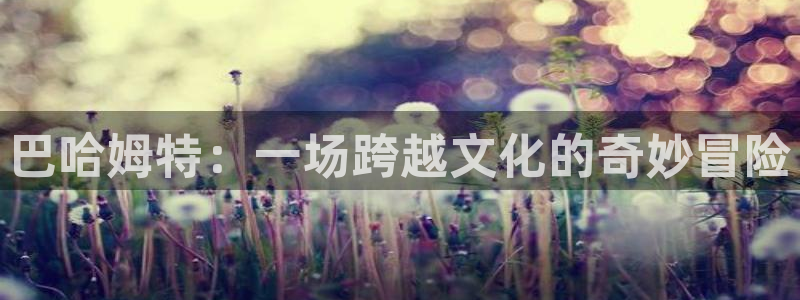 原神禁动漫天堂：巴哈姆特：一场跨越文化的奇妙冒险