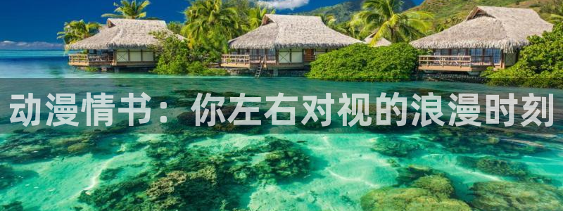 动漫天堂在线看：动漫情书：你左右对视的浪漫时刻