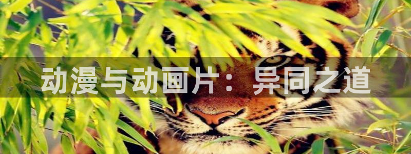 黄动漫天堂：动漫与动画片：异同之道