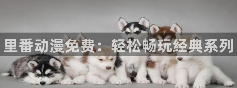 动漫天堂下载正版：里番动漫免费：轻松畅玩经典系列