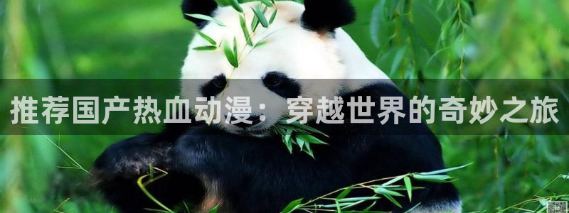 动漫天堂岛：推荐国产热血动漫：穿越世界的奇妙之旅