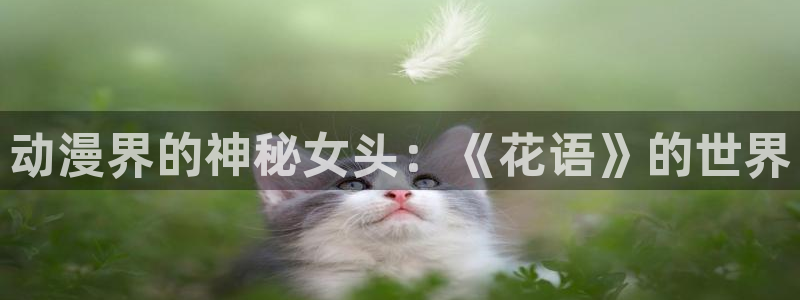 91动漫天堂：动漫界的神秘女头：《花语》的世界