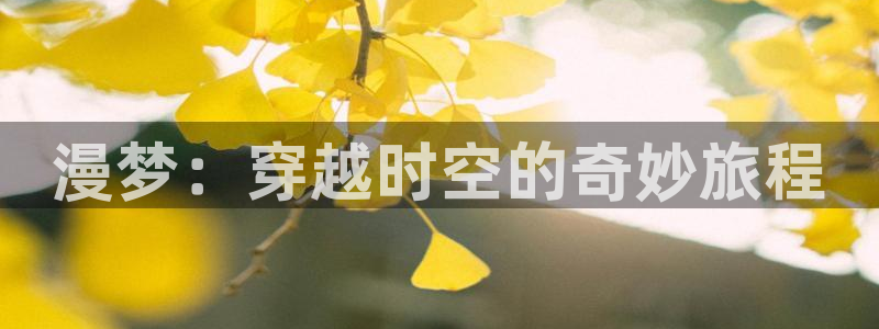 动漫天堂91：漫梦：穿越时空的奇妙旅程