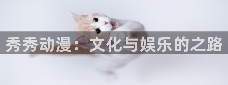 动漫天堂下载官方：秀秀动漫：文化与娱乐的之路