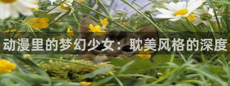 内地动漫天堂：动漫里的梦幻少女：耽美风格的深度