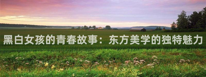 jm动漫天堂：黑白女孩的青春故事：东方美学的独特魅力