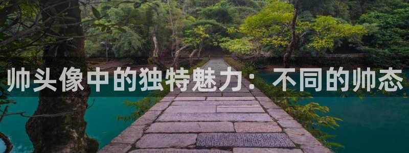 动漫天堂下载最新版：帅头像中的独特魅力：不同的帅态