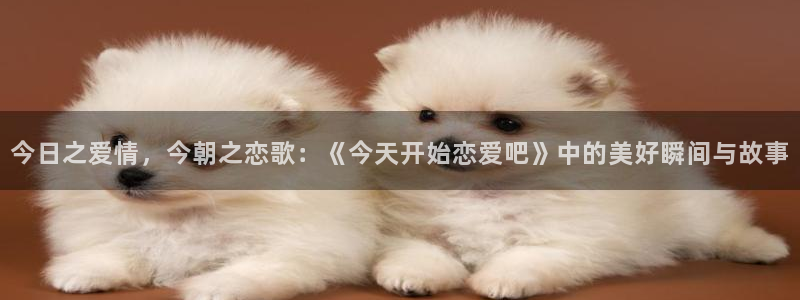 cos动漫天堂官网下载：今日之爱情，今朝之恋歌：《今天开始恋爱吧》中的美好瞬间与故事