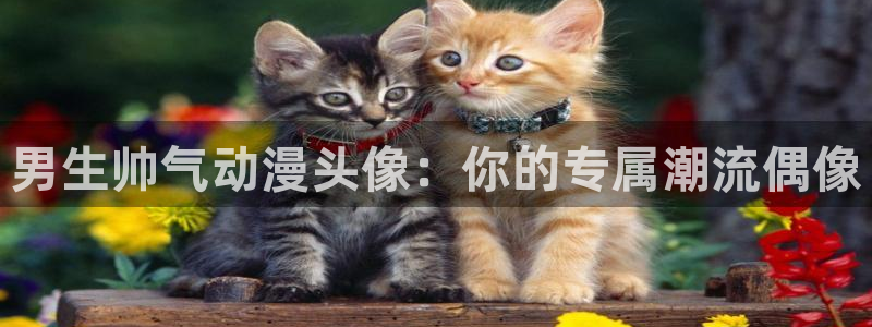 动漫天堂下载安装最新版：男生帅气动漫头像：你的专属潮流偶像