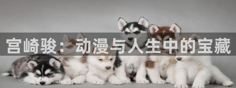 bt动漫天堂：宫崎骏：动漫与人生中的宝藏