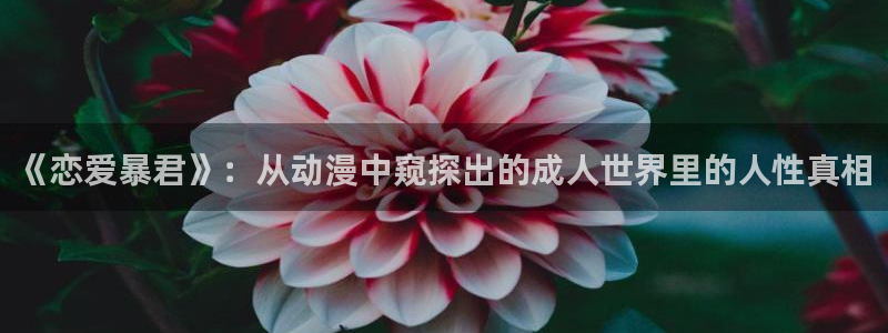 动漫天堂91：《恋爱暴君》：从动漫中窥探出的成人世界里的人性真相