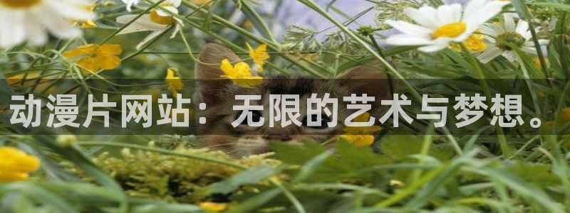 动漫天堂网址：动漫片网站：无限的艺术与梦想。