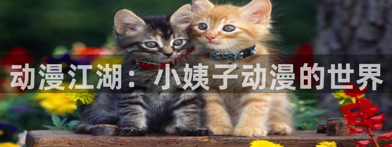 3d动漫天堂：动漫江湖：小姨子动漫的世界