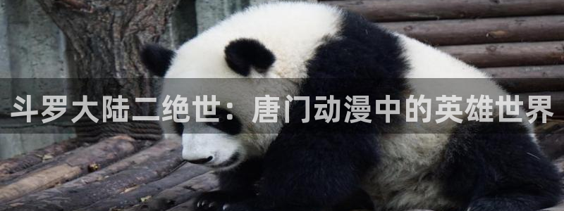 coco动漫天堂：斗罗大陆二绝世：唐门动漫中的英雄世界