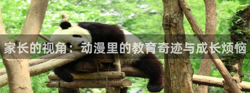 动漫天堂官网：家长的视角：动漫里的教育奇迹与成长烦恼