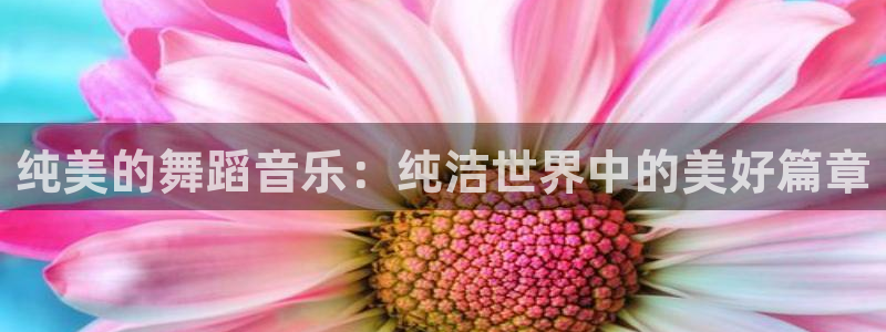 男人动漫天堂在线：纯美的舞蹈音乐：纯洁世界中的美好篇章