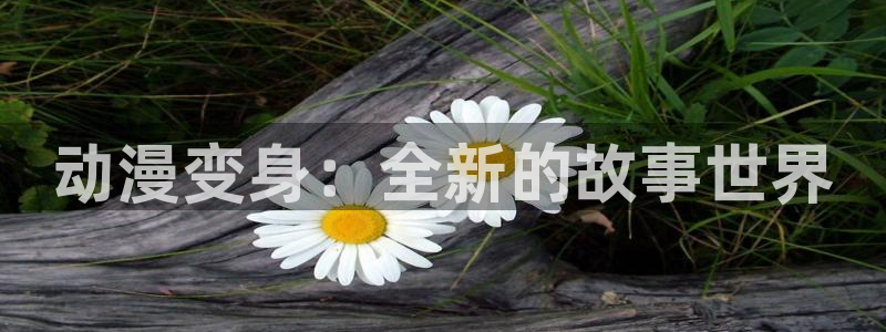 动漫天堂岛：动漫变身：全新的故事世界
