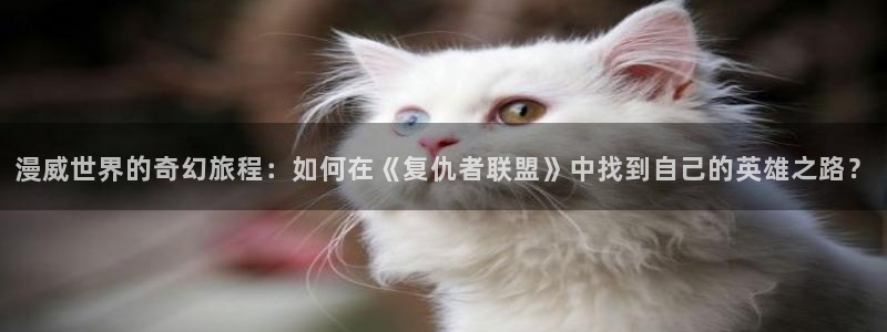下载动漫天堂：漫威世界的奇幻旅程：如何在《复仇者联盟》中找到自己的英雄之路？