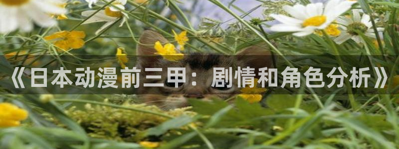 禁动漫天堂：《日本动漫前三甲：剧情和角色分析》