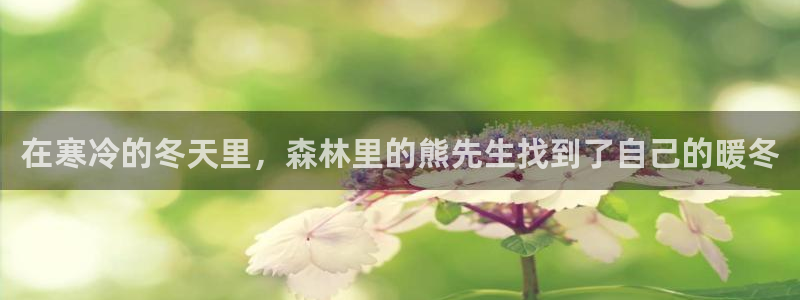 禁动漫天堂：在寒冷的冬天里，森林里的熊先生找到了自己的暖冬