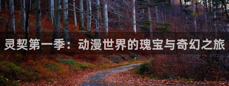 动漫天堂免费观看：灵契第一季：动漫世界的瑰宝与奇幻之旅