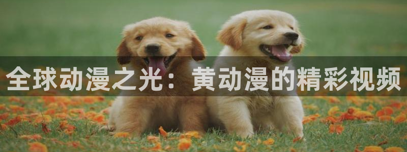动漫天堂91：全球动漫之光：黄动漫的精彩视频