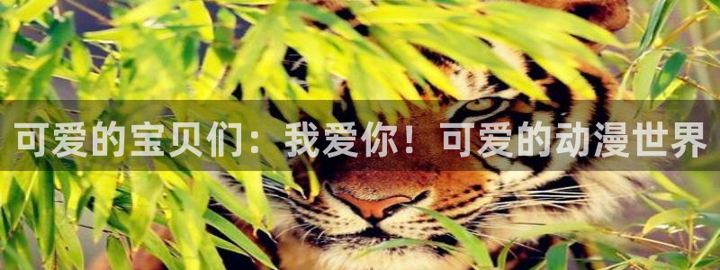 动漫天堂免费版：可爱的宝贝们：我爱你！可爱的动漫世界