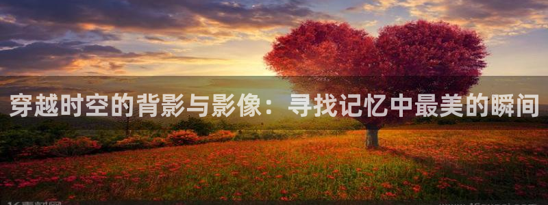 内地动漫天堂：穿越时空的背影与影像：寻找记忆中最美的瞬间
