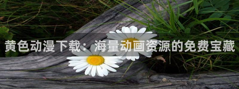 91动漫天堂：黄色动漫下载：海量动画资源的免费宝藏