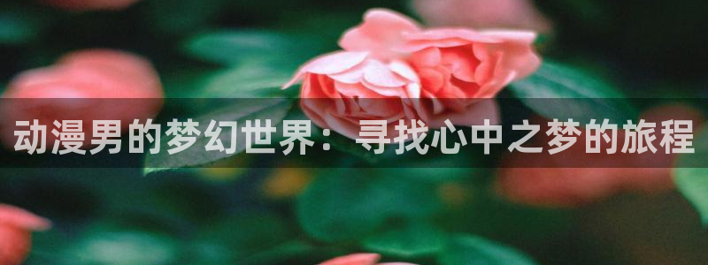 www.动漫天堂：动漫男的梦幻世界：寻找心中之梦的旅程