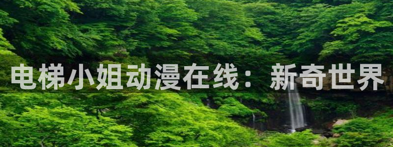 亚洲动漫天堂在线：电梯小姐动漫在线：新奇世界