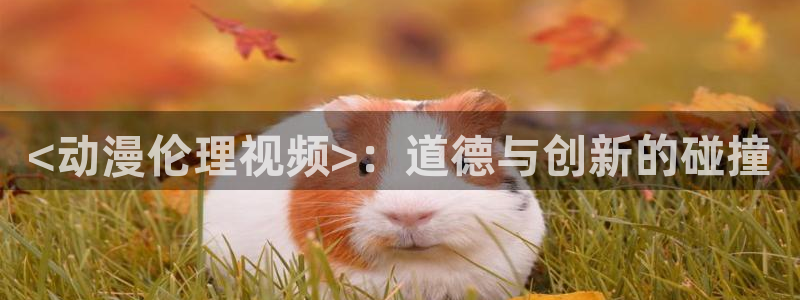 动漫天堂总站：<动漫伦理视频>：道德与创新的碰撞