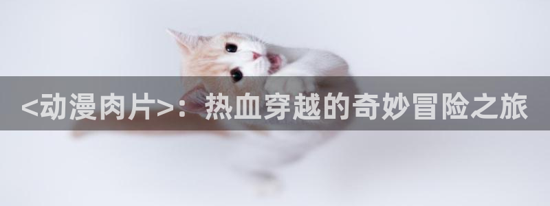 动漫天堂免费下载：<动漫肉片>：热血穿越的奇妙冒险之旅