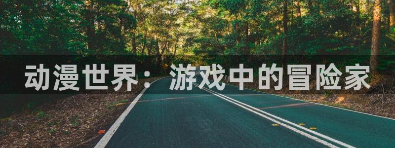 动漫天堂网站