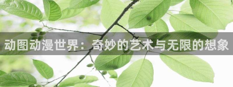 动漫天堂下载官方