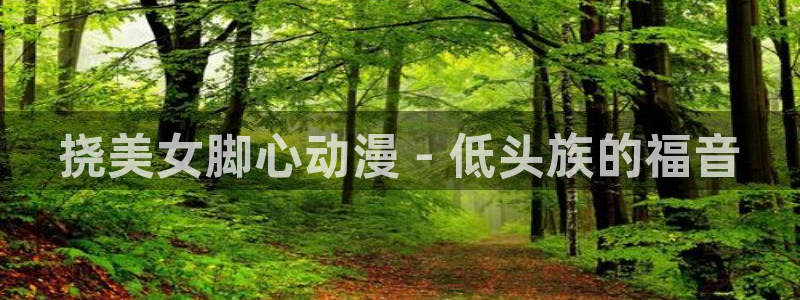 coco动漫天堂