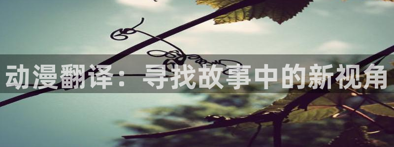 免费a漫动漫天堂.：动漫翻译：寻找故事中的新视角