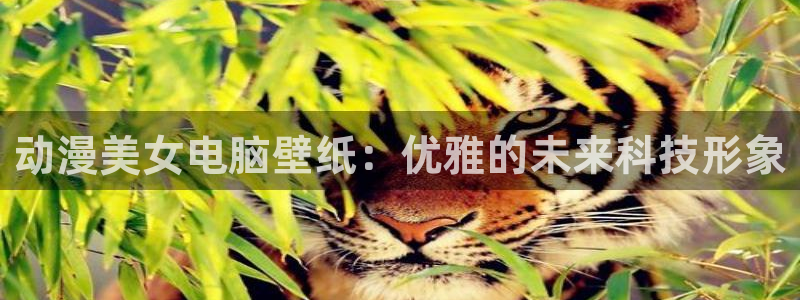 亚洲成人动漫天堂