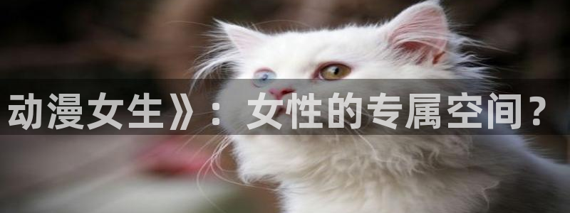 coco动漫天堂：动漫女生》：女性的专属空间？