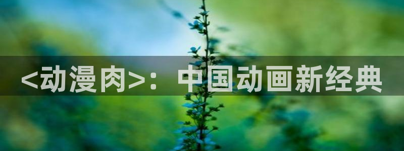 动漫天堂免费版