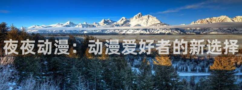 下载动漫天堂：夜夜动漫：动漫爱好者的新选择