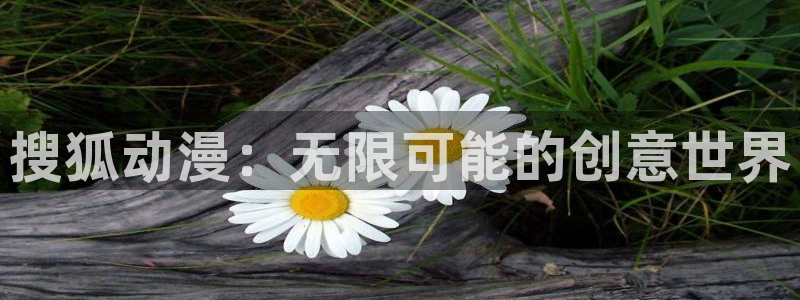 动漫天堂电影：搜狐动漫：无限可能的创意世界