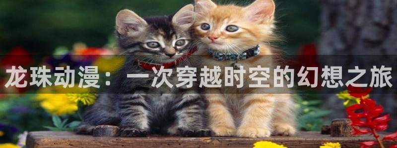 成人动漫天堂网：龙珠动漫：一次穿越时空的幻想之旅