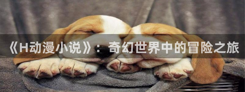 同人动漫天堂：《H动漫小说》：奇幻世界中的冒险之旅