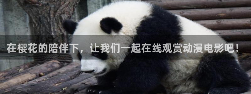 动漫天堂.：在樱花的陪伴下，让我们一起在线观赏动漫电影吧！